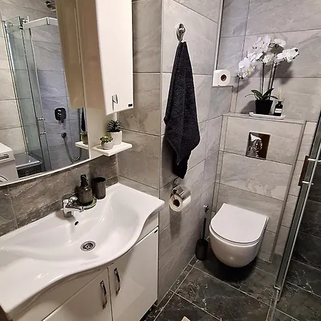 Apartment Medison Belgrade