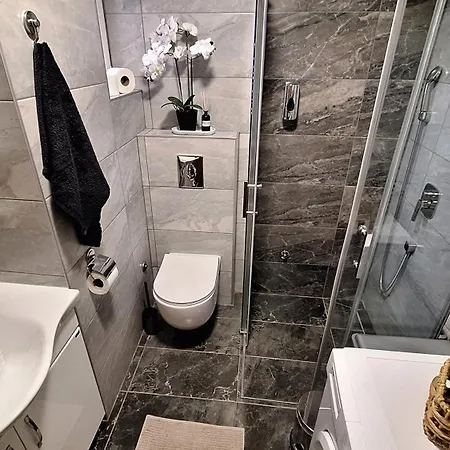 Apartment Medison